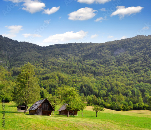 Valley Voje in Triglav National Park - Julian Alps  Slovenia