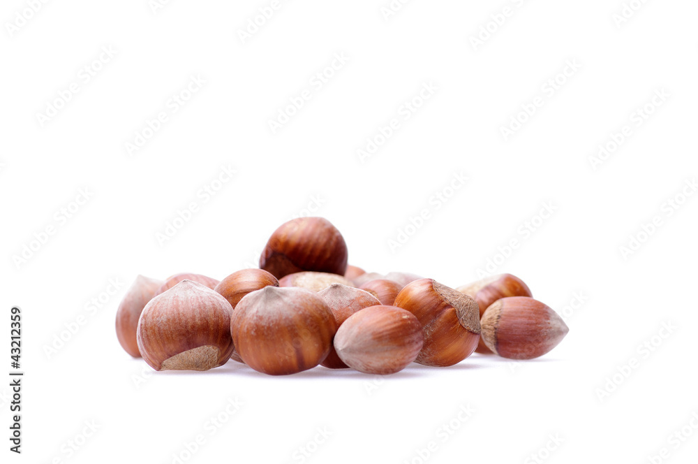 hazelnuts hazelnuts