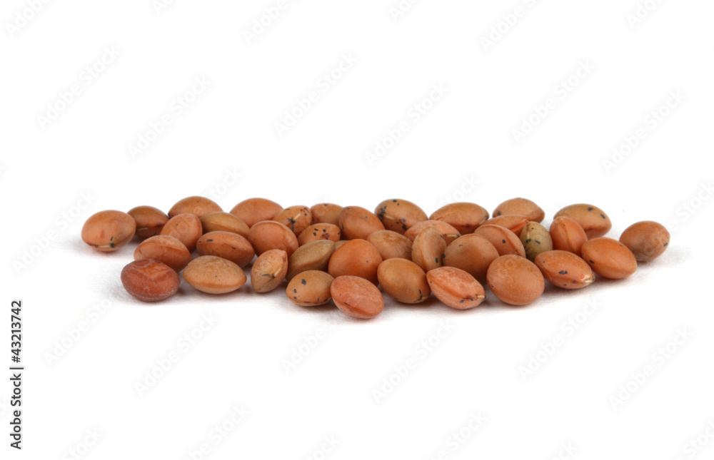 Red lentils Red lentils