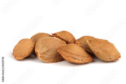Apricot stones