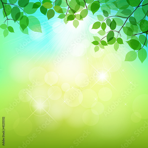Fresh green leaves on natural background. vector