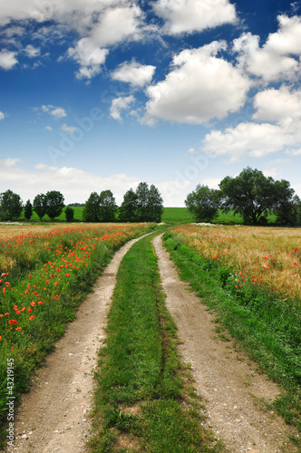 landscape in the Czech Republic