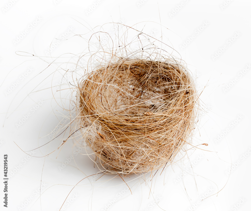 Isolated birds nest woven from grass and hair Isolated birds nest woven from grass and hair