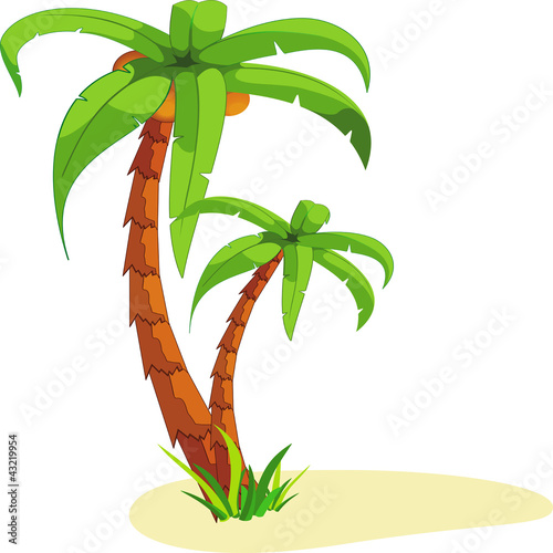 Palm