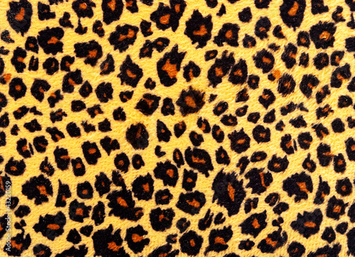 Leopard skin texture.