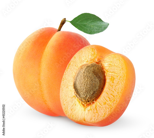 isolated apricots. One and a half fresh apricot fruit with stone and leaf isolated on white background
