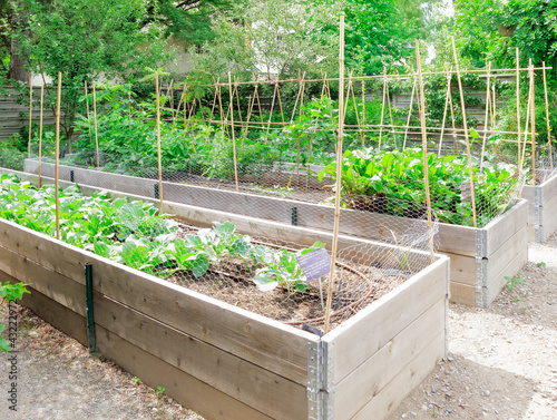 Raised Garden Frames