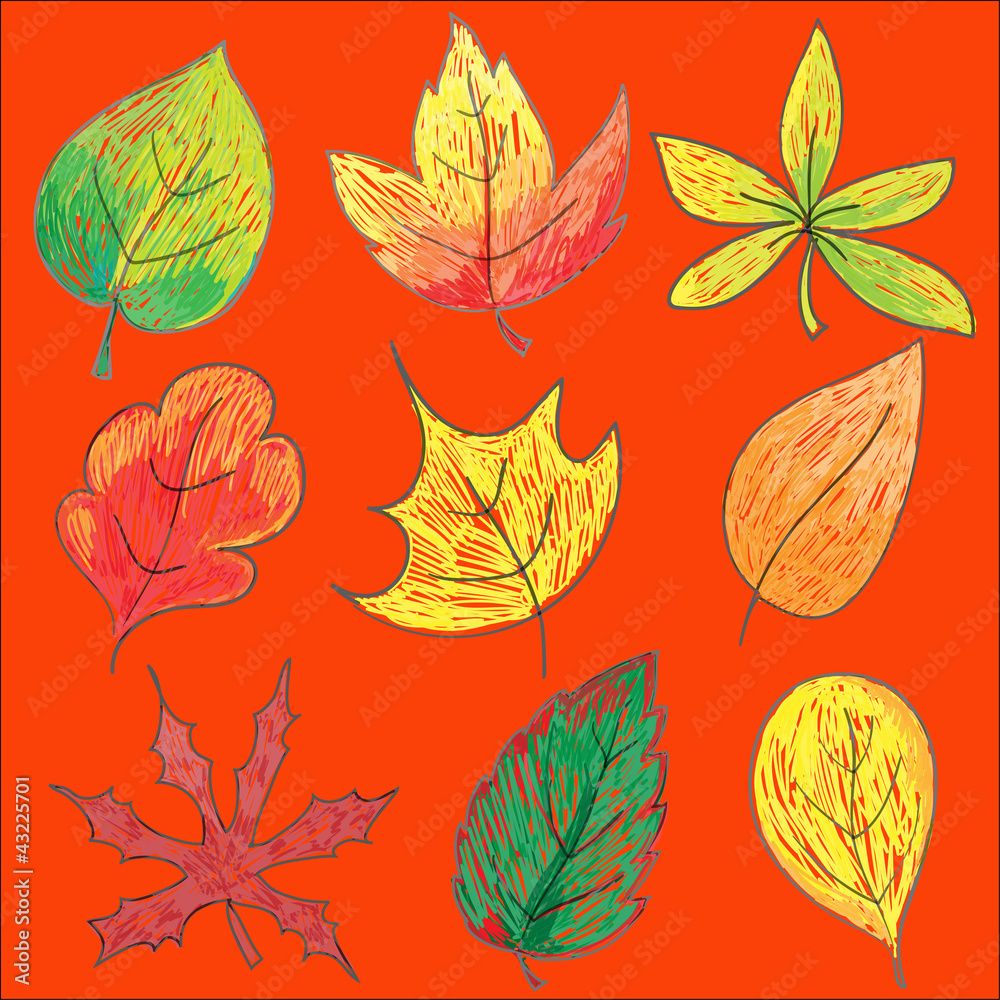 Fototapeta premium vector foliage