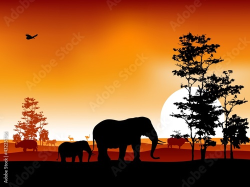 beauty silhouette of safari animal