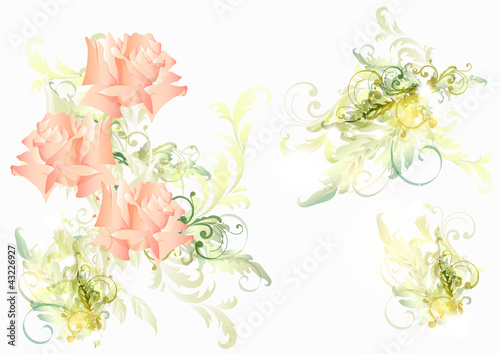 Beautiful vector soft background with roses