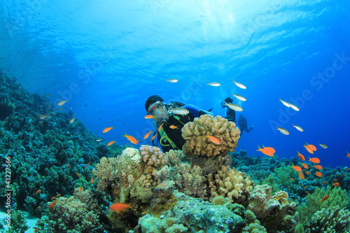 Scuba Diver explores coral reef with tropical fish