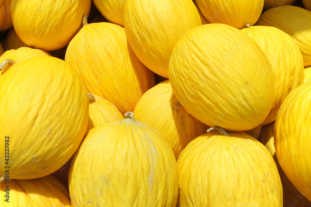 yellow Honey dew melon yellow Honey dew melon