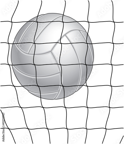 Volleyball and Net