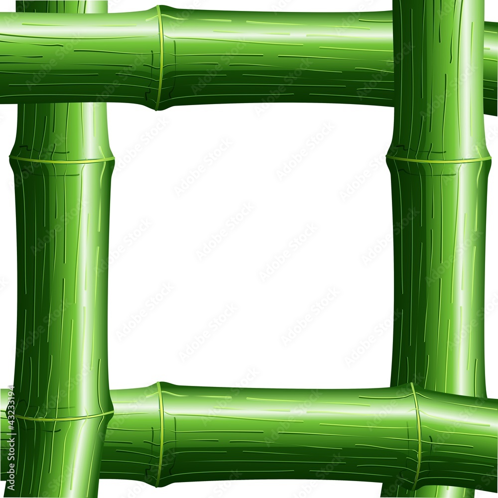 Obraz premium Cornice di Bambù-Bamboo Frame-Vector