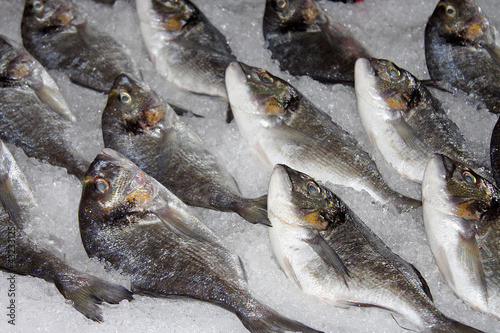 Tableau sur toile Fresh fish on ice