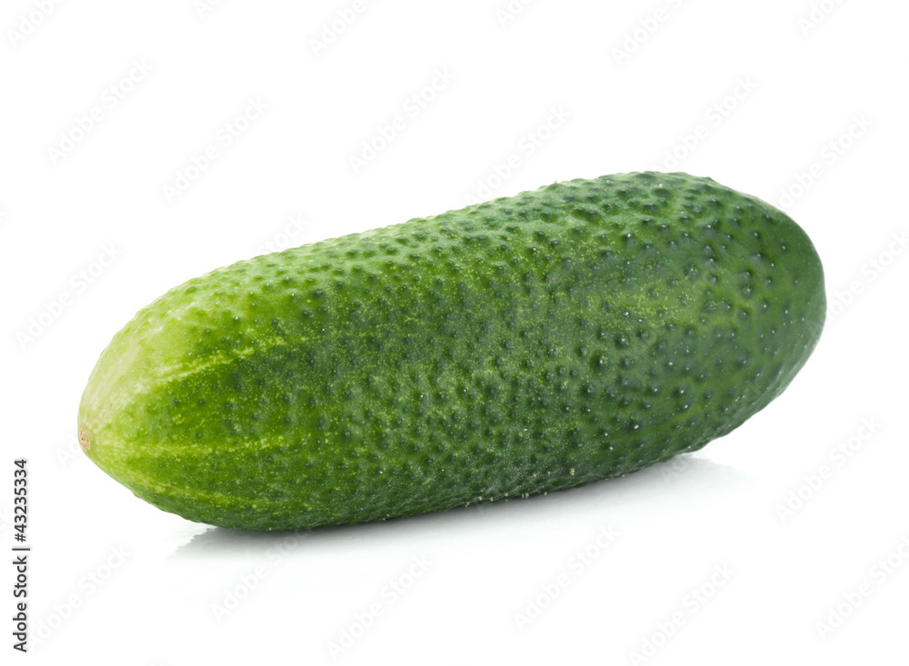 Ripe cucumber fruit Ripe cucumber fruit