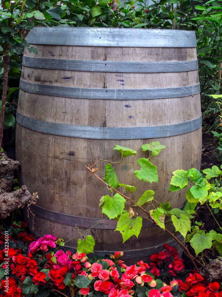 close up of rustic wooden barrel in garden close up of rustic wooden barrel in garden