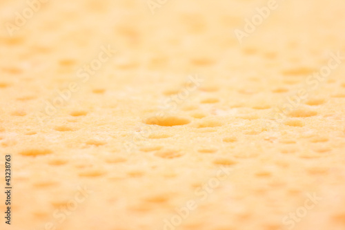 éponge