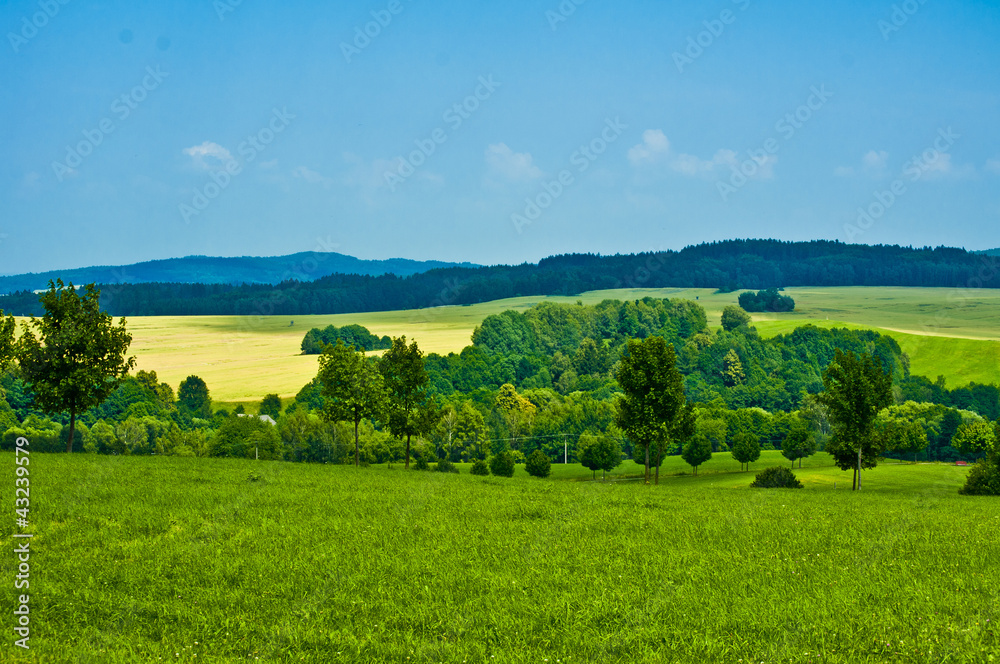 Fototapeta premium nature