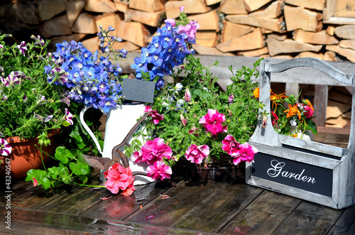 Fototapeta Naklejka Na Ścianę i Meble -  bunte Blumen Dekoration im Garten Terrasse