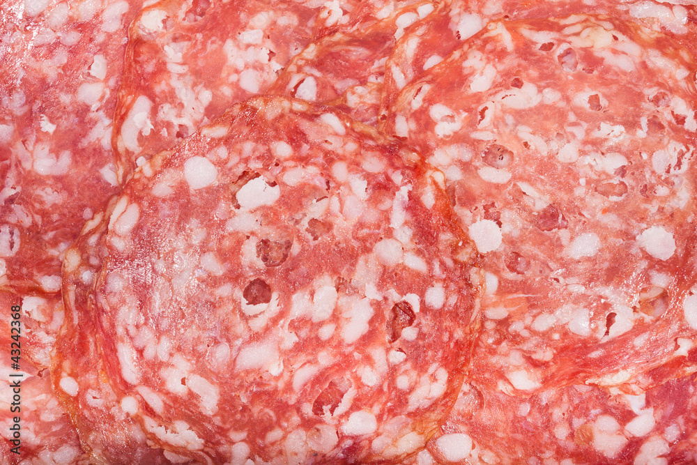 Italian salami with slices cut Italian salami with slices cut