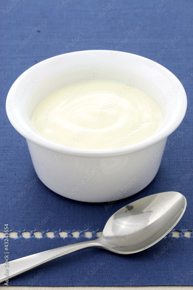 delicious fresh yogurt delicious fresh yogurt
