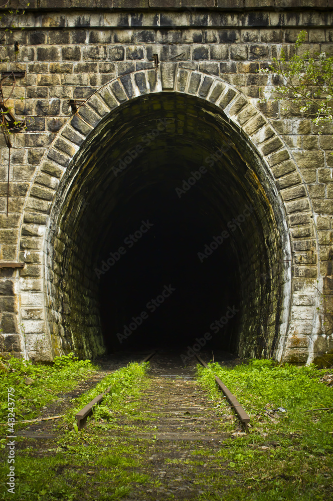 Entrance to an abandoned train tunnel - obrazy, fototapety, plakaty 