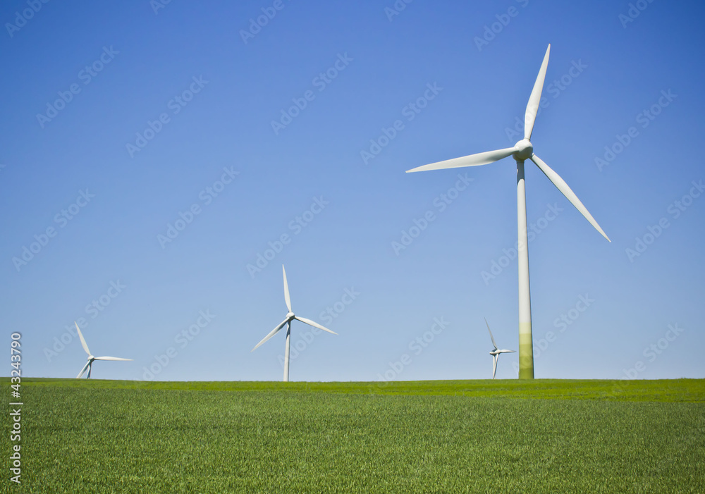 Wind turbines in the field - a renewable energy source Wind turbines in the field - a renewable energy source