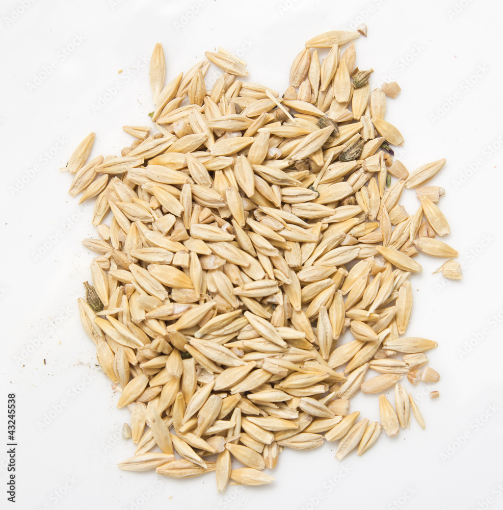 oats on a white background