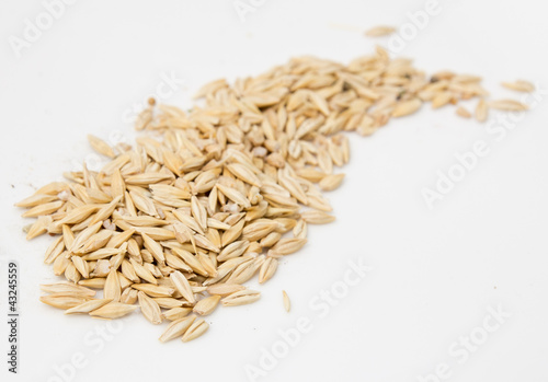 oats on a white background