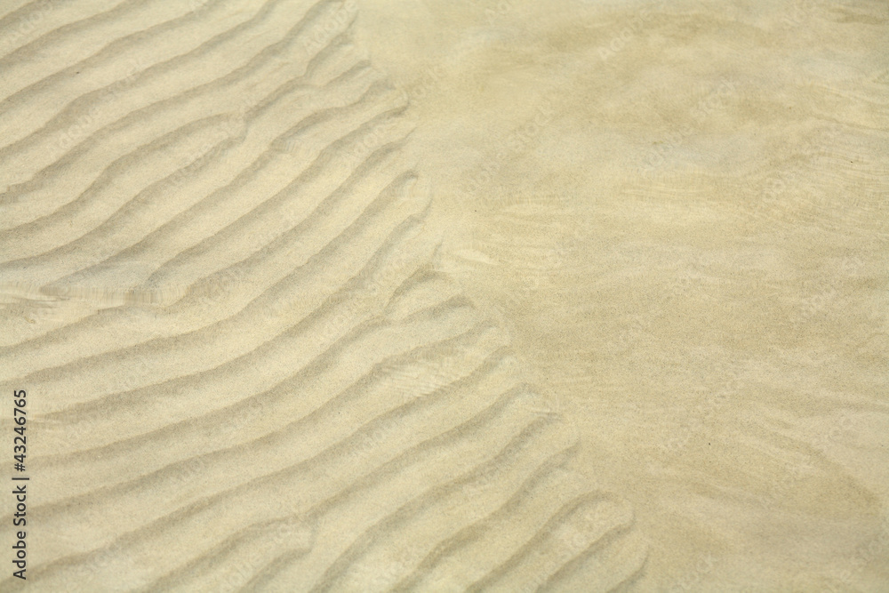 Fototapeta premium texture of the sand under the water.