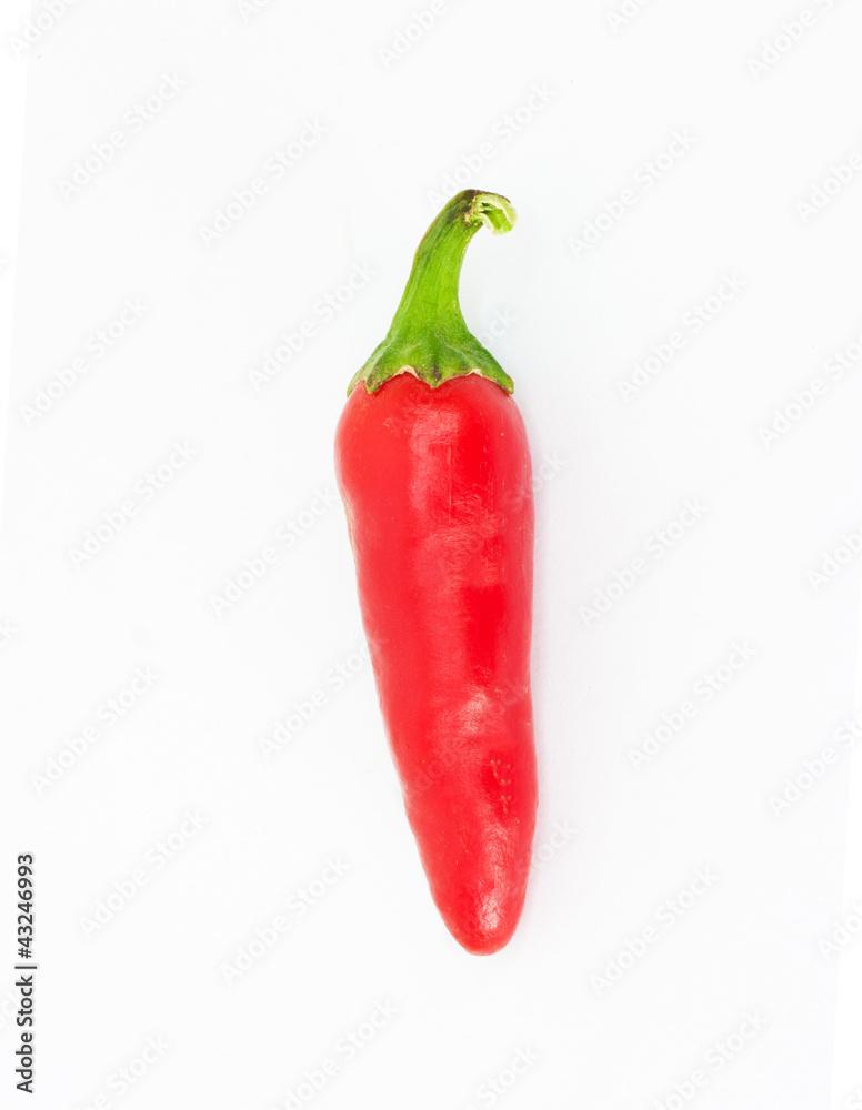 chili peppers on white background chili peppers on white background