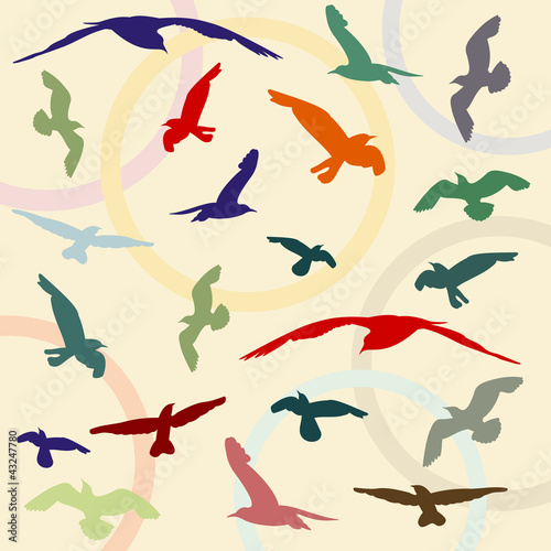abstract background with contours of birds