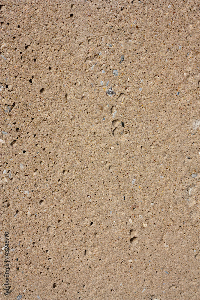 concrete wall as a backdrop