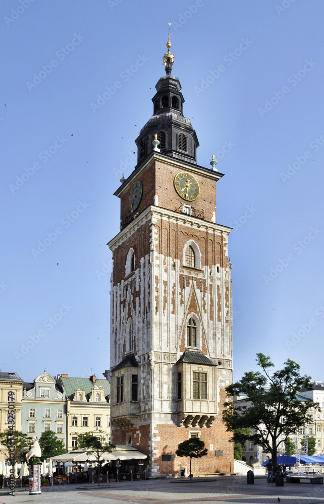 Fototapeta premium Town hall tower in Krakow, Poland