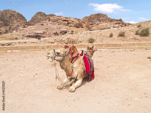 Petra, one of the seven wonders of the world, Jordan. © meneari