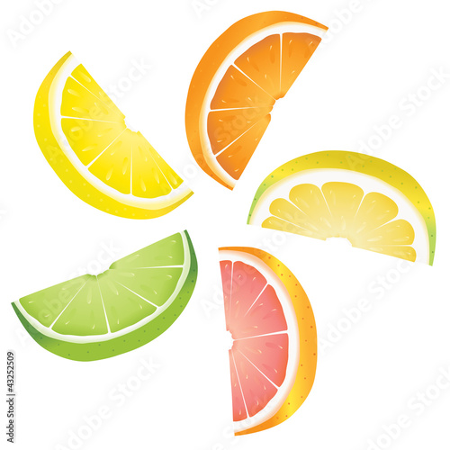 Citrus slices