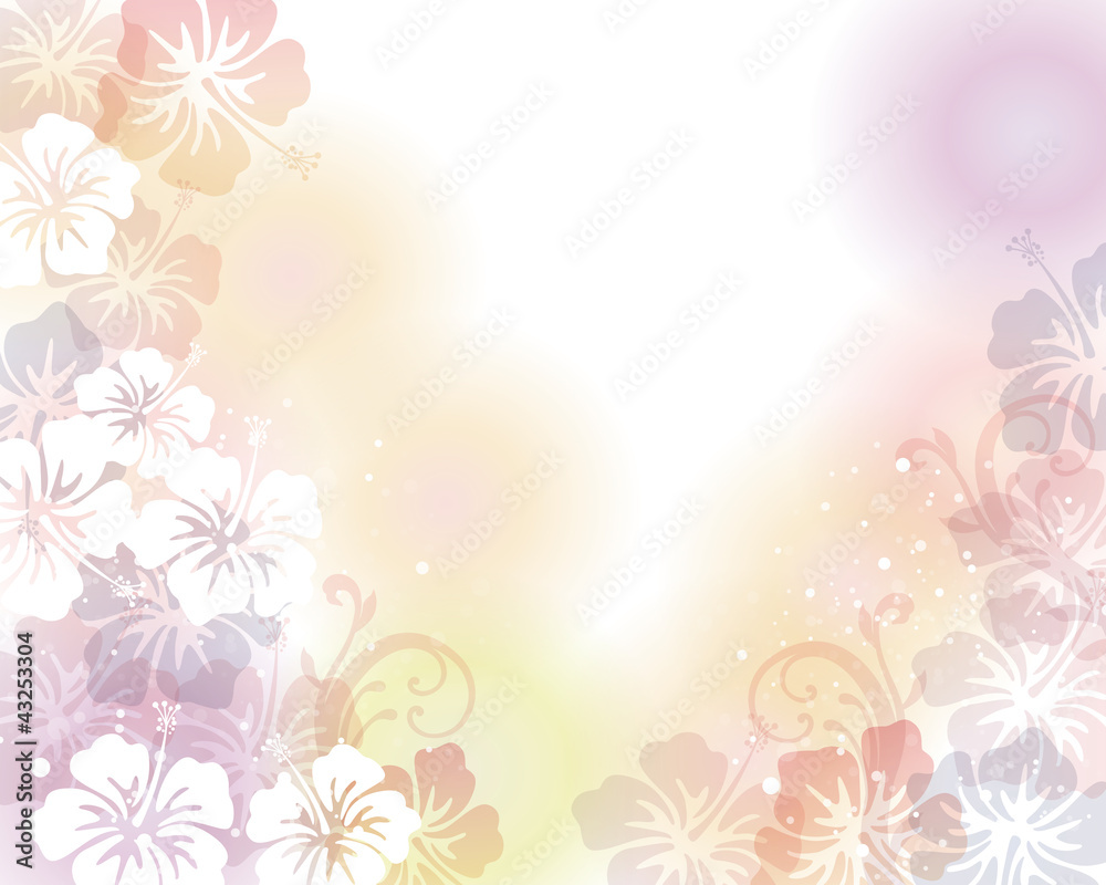 Fototapeta premium hibiscuses background