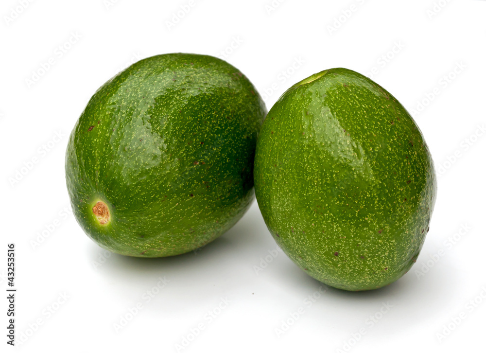 fresh avocado. fresh avocado.