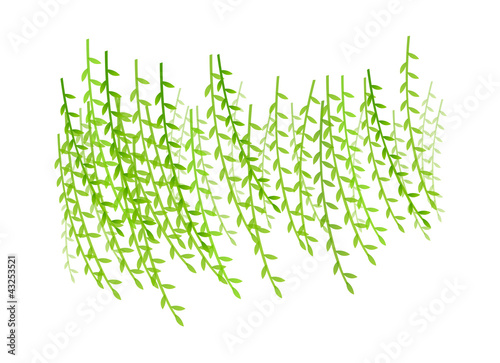 vector icon willow