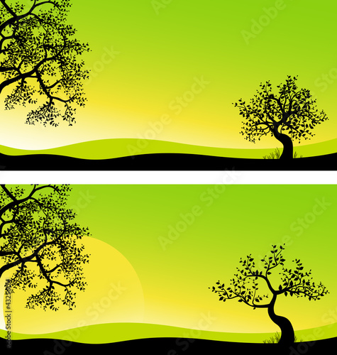 Landscape panorama