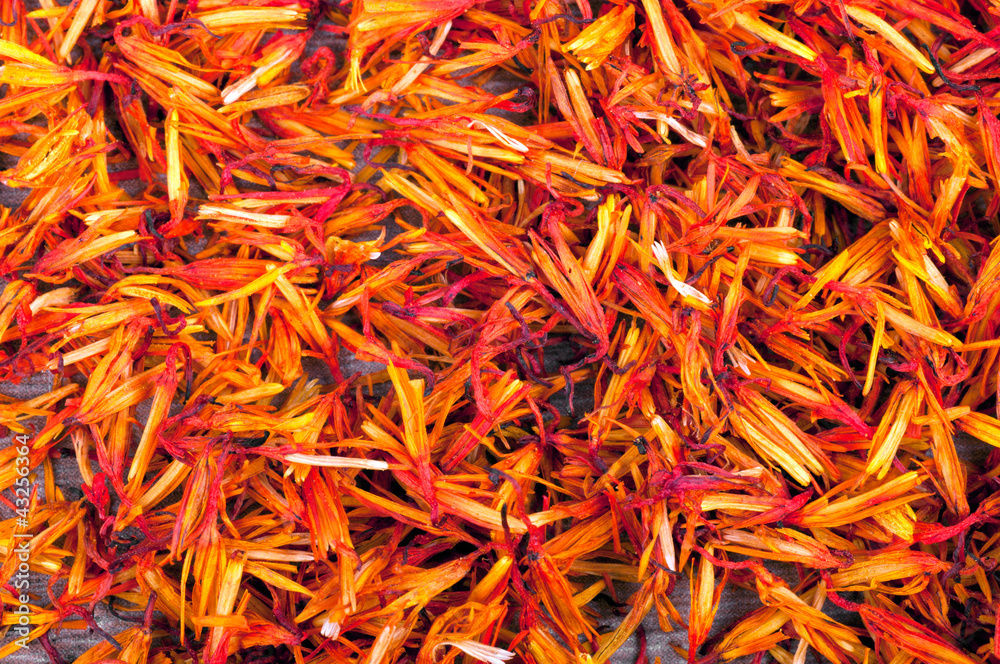 Fototapeta premium petal saffron