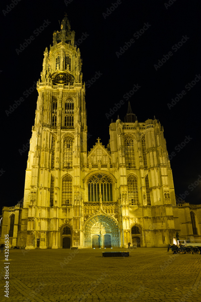 Antwerp Cathedral Front Night Square
