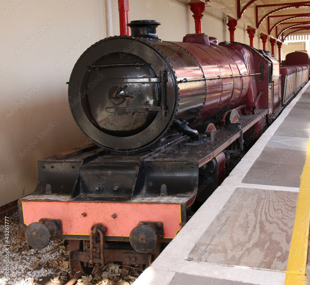Naklejka premium A Narrow Gauge Steam Train Engine and Carriages.