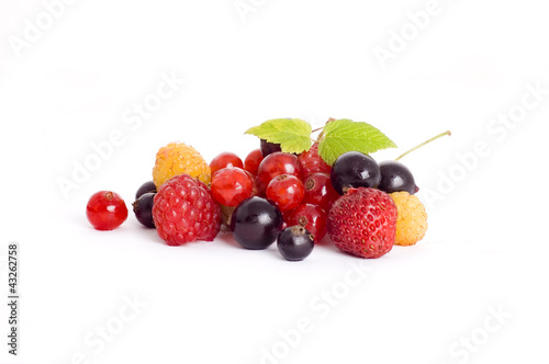 fresh berries