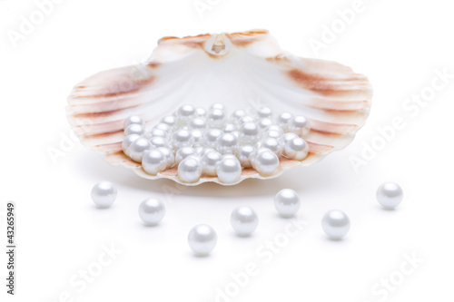 Perlen in einer Muschel