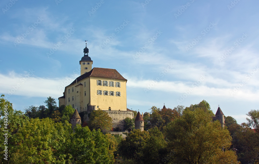 The castle on the river Neckar,Germany