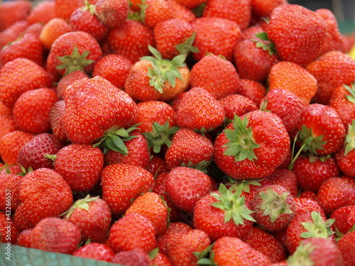 Fresh strawberries