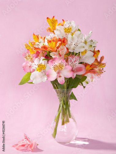 Fototapeta Naklejka Na Ścianę i Meble -  Bouquet of Alstroemeria on pink background