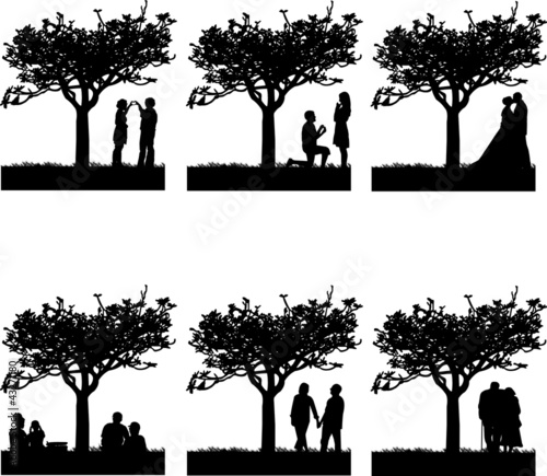 Stages of development at different stages of life silhouette